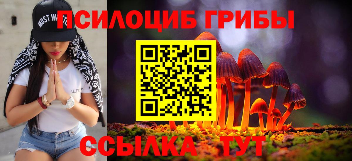 Псилоцибиновые грибы мухоморы Ногинск