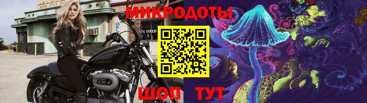 Галлюциногенные грибы MAGIC MUSHROOMS  где найти наркотики  Галлюциногенные грибы GOLDEN TEACHER  Ногинск  Вход с VPN 